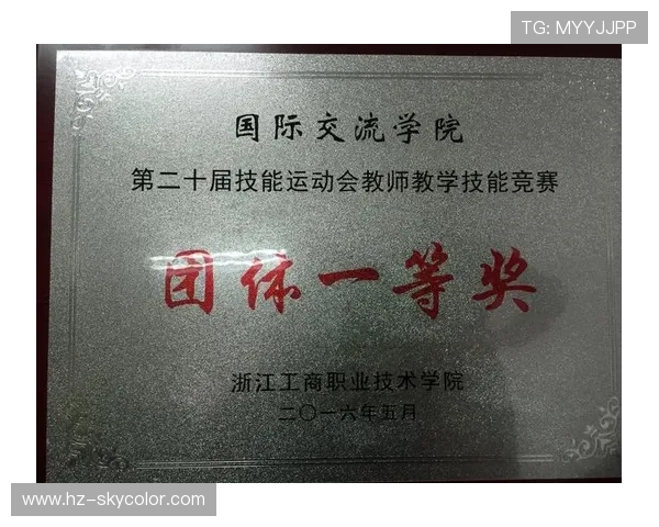 南京羽毛球队如何通过控制革新提升竞技水平与团队协作能力